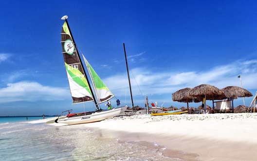 一键服务启停的网站攻击器