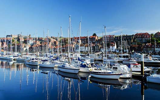 哪里不会黑的网站ddos